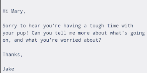 Screenshot of an email that reads: "Hi Mary, Sorry to hear you're having a tough time with your pup! Can you tell me more about what's going on, and what you're worried about? Thanks, Jake"