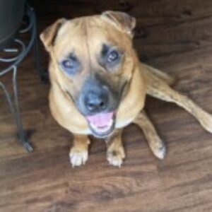 Profile photo of Charlotte