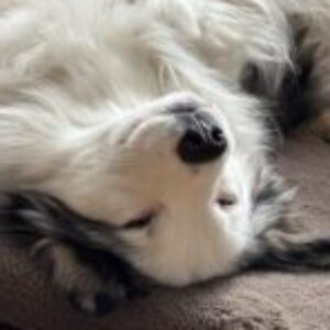 Profile photo of Marli