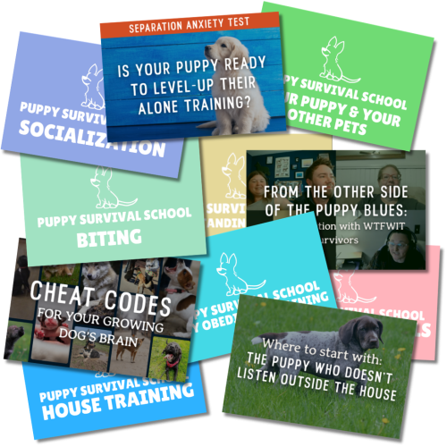Puppy Survival School resources