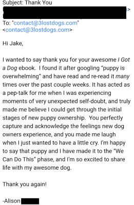3 lost dogs testimonial